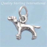 Pointer Charm 598