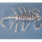 Scorpian 029